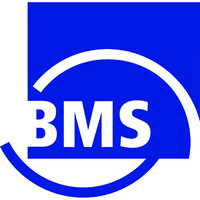 BMS Bau-Maschinen-Service AG logo - Similar company to Schmake'S Gmbh