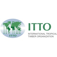 International Tropical Timber Organization logo - Similar company to Itto | International Tropical Timber Organization