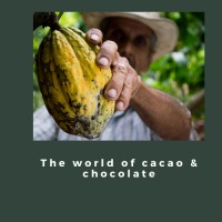 The world of cacao and chocolate logo - Similar company to Brics Research Group