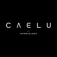 Caelu logo - Similar company to Meetable