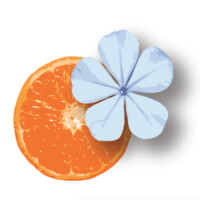 Bleu Tangerine Salon & Day Spa