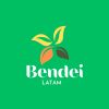 Bendei logo - Similar company to Amazonas Company