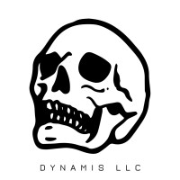 Dynamis Systems logo - Similar company to Evergreen Cases