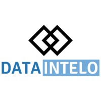 DATAINTELO (O) logo - Similar company to Dataintelo