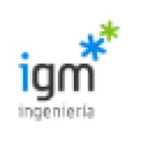 igm ingeniería logo - Similar company to Edikal Technology