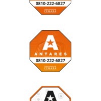 Antares Seguridad logo - Similar company to Austral Consultora