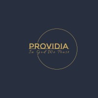 PROVIDIA LLC logo - Similar company to Local Auto Solutions