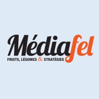 Médiafel logo - Similar company to Grupo Kf S.R.L
