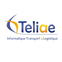Teliae logo - Similar company to Wm-Up