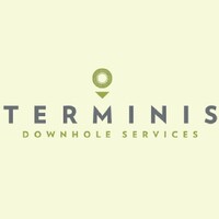 Terminis Downhole Services logo - Similar company to Nof Consulting