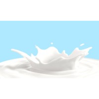 Almond Milk logo - Similar company to Almond Milk Co.