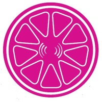 Gemstone Communications logo - Similar company to Be My Duo