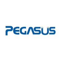 Pegasus Technology Co., Ltd.