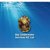 Bay Underwater Services NZ Limited logo - Similar company to Seaworks Ltd