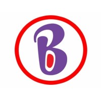 Baadoola logo - Similar company to Pangee O.N.G.