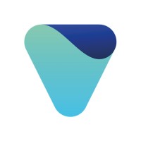 vilion logo - Similar company to Webricks Innovations Pvt Ltd