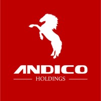 ANDICO GROUP logo - Similar company to Vandis