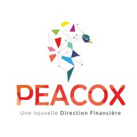 PEACOX logo - Similar company to Peacox Learning