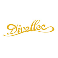 Divellec logo - Similar company to Version Accessible