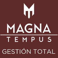 Magna Tempus logo - Similar company to Hd Solutions
