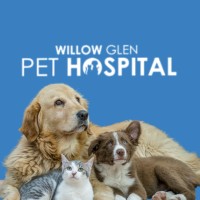 WILLOW GLEN PET HOSPITAL logo - Similar company to Willow Glen Yoga