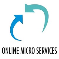 Online Micro Services Pvt. Ltd. logo - Similar company to M/S Techspire Services Pvt Ltd .