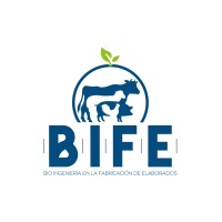 B.I.F.E. Bio Ingeniería en la Fabricación de Elaborados logo - Similar company to Reverse Boost