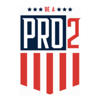 Be a PRO2 logo - Similar company to Totem Tech