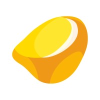 EsseSystems logo - Similar company to Telocyte