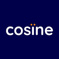 Cosine Italy logo - Similar company to Cosine