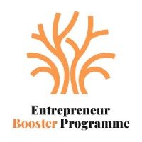 Entrepreneur Booster Programme logo - Similar company to Ingage - Websites & Apps For Small Businesses