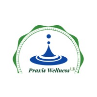 Praxis Wellness LLC logo - Similar company to Monkey Mind