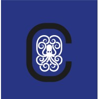 Cirrina Headhunting logo - Similar company to Brussels Football