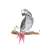 Kasuku NFT logo - Similar company to Savannah Dot Net