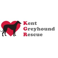 Kent Greyhound Rescue logo - Similar company to Angels For Animals Foundation