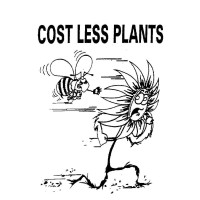 Cost Less Plants
