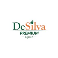 Hotel DeSilva Premium Opole **** logo - Similar company to Hotel Retro