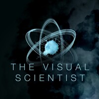 The Visual Scientist logo - Similar company to Superora® Strategy Studio
