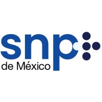 Saniplus de Mexico logo - Similar company to Bitubi Consulting Group