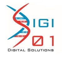 Digital Solutions logo - Similar company to 1Ds, One Digital Solution