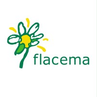 FLACEMA logo - Similar company to Oficemen