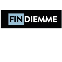Fin-Diemme UK logo - Similar company to Fin-Diemme