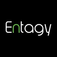 Entagy Internet Solutions Ltd logo - Similar company to Ux Ui Apps
