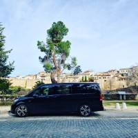Limo service/Coche con chofer logo - Similar company to Minivip'S