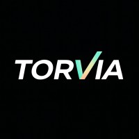 Torvia AI logo - Similar company to Redotpay