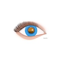 Eye Translational Research Unit - Kolko group logo - Similar company to Reminders