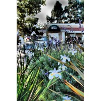 Bills Cafe