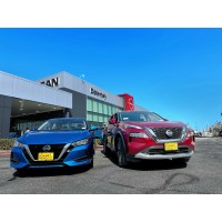 Downey Nissan logo - Similar company to Malouf Auto Group
