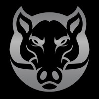 Silver Boar Consulting logo - Similar company to Open Range Analytics