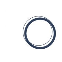 TraumAI logo - Similar company to Buddhasoft
